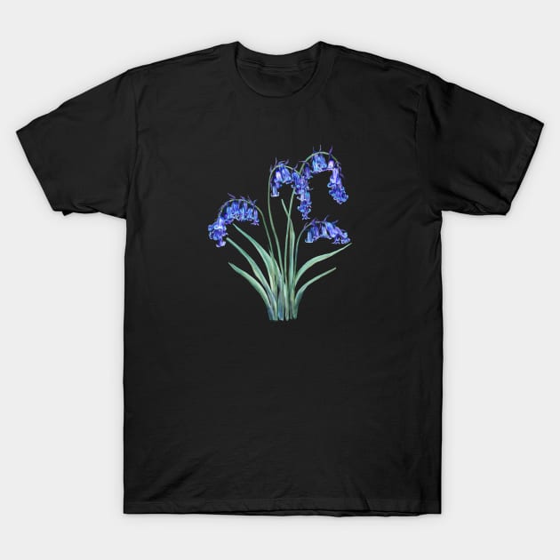 English Bluebell T-Shirt by Sitenkova